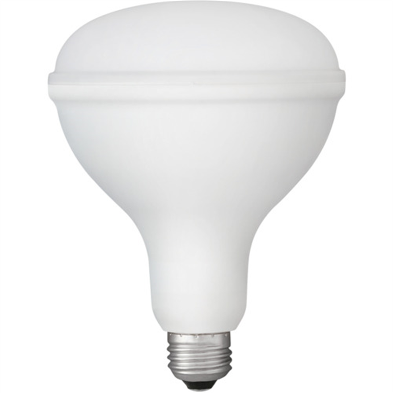 IRIS 107944 PROLEDS LED電球 投光器用 2000lm 1個（ご注文単位1個）【直送品】