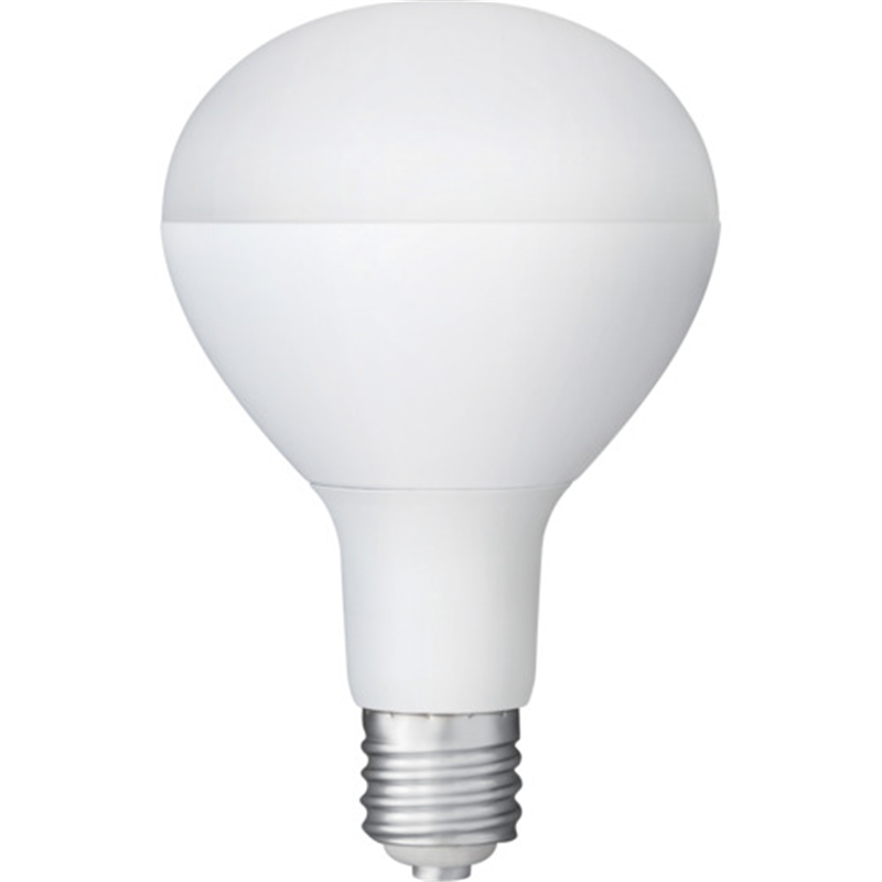 IRIS 107945 PROLEDS LED電球 投光器用 3000lm 1個（ご注文単位1個）【直送品】