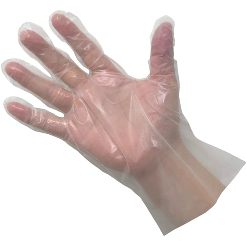 クイン バイオマス手袋PE 100枚入 L 1箱（ご注文単位1箱）【直送品】