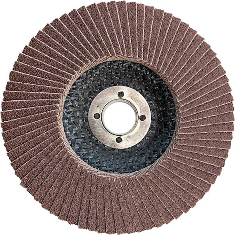 AC メガ・ブライトディスクA #100 外径100×羽根長さ15×穴径15 1枚（ご注文単位10枚）【直送品】