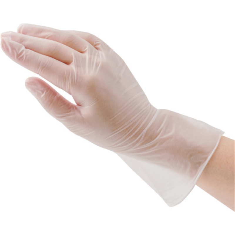 クイン バイオマス手袋PVC 40枚入 M 1箱（ご注文単位1箱）【直送品】