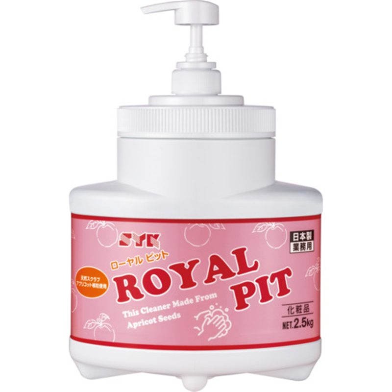SYK 手洗い洗剤 ローヤルピット本体 2.5kg 1個（ご注文単位1個）【直送品】