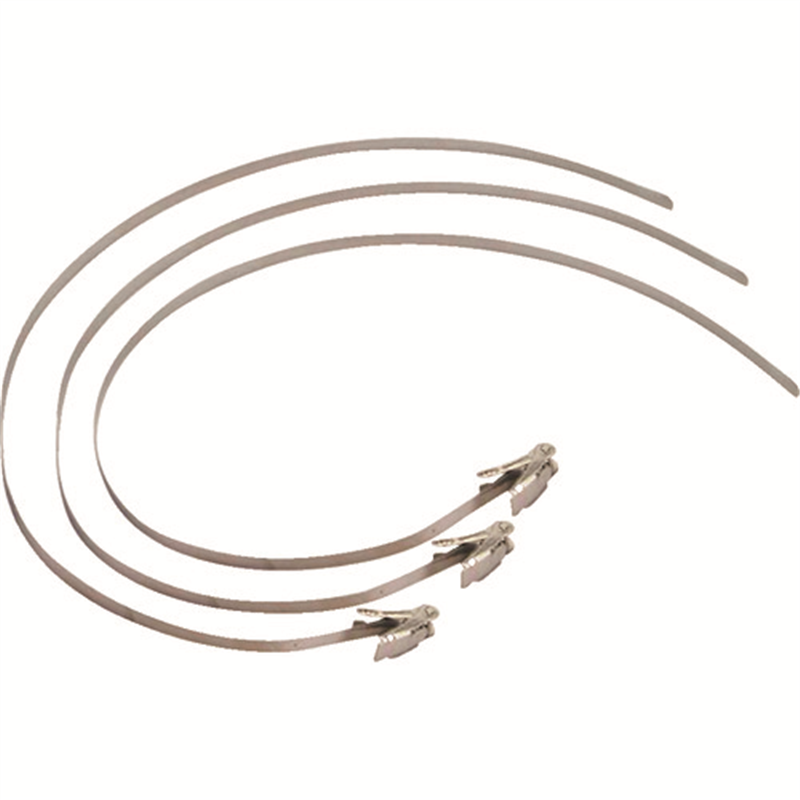 JAPPY ステンレスバンドセット(10本入り) 1袋（ご注文単位1袋）【直送品】