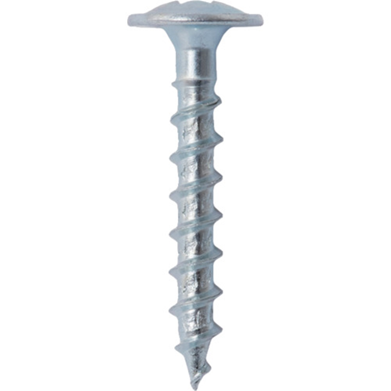 WAKAI VP)座付ナベビス 25 1パック（ご注文単位1パック）【直送品】