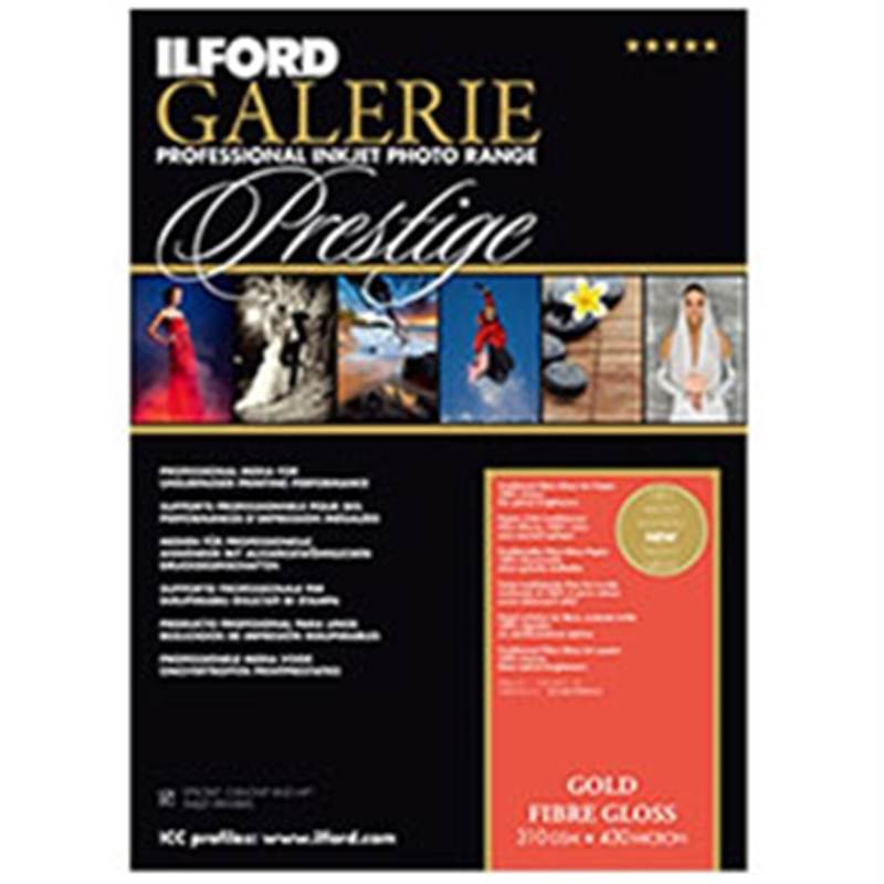 イルフォード ギャラリーゴールドファイバーグロス 310g/m2（A4サイズ・25枚）422365 1個（ご注文単位1個）【直送品】