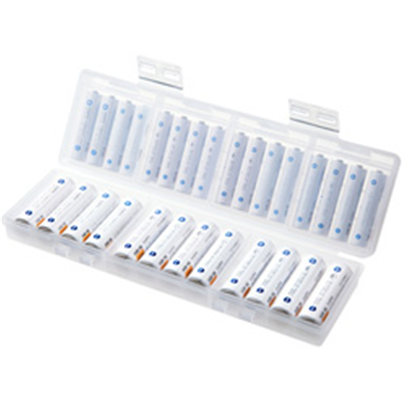 サンワサプライ 電池ケース（単3形、単四形対応大容量タイプ・クリア）　DG-BT6C DGBT6C 1個（ご注文単位1個）【直送品】