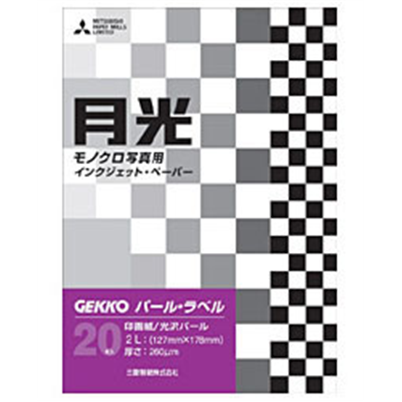 ピクトリコ GEKKO パール・ラベル(2L・20枚) GKN-2L/20 GKN-2L/20 GKN2L20 1個（ご注文単位1個）【直送品】