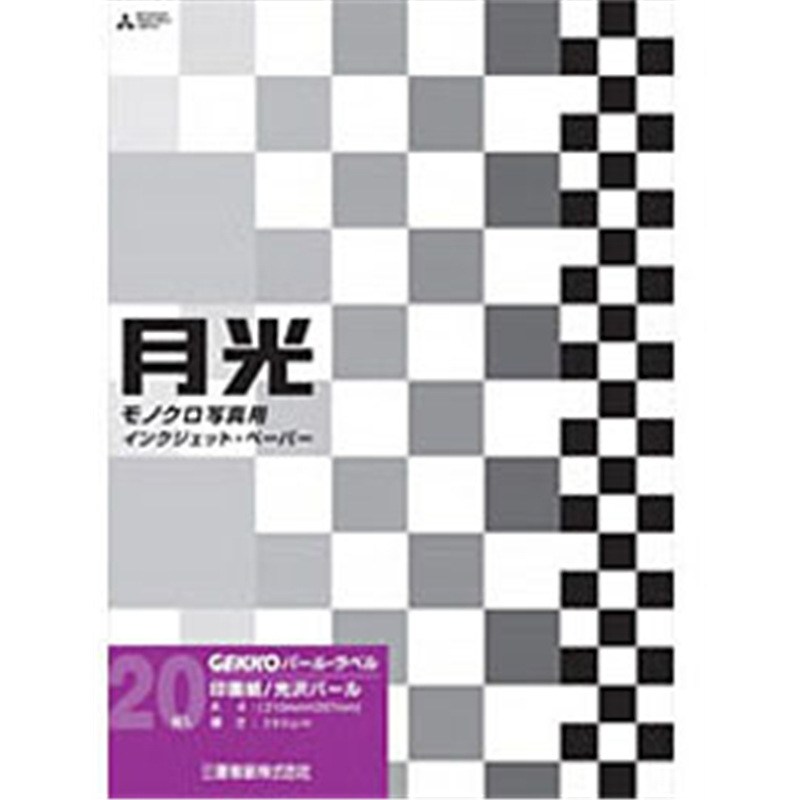 ピクトリコ GEKKO パール・ラベル(A4・20枚) GKN-A4/20 GKN-A4/20 GKNA420 1個(ご注文単位1個)【直送品】