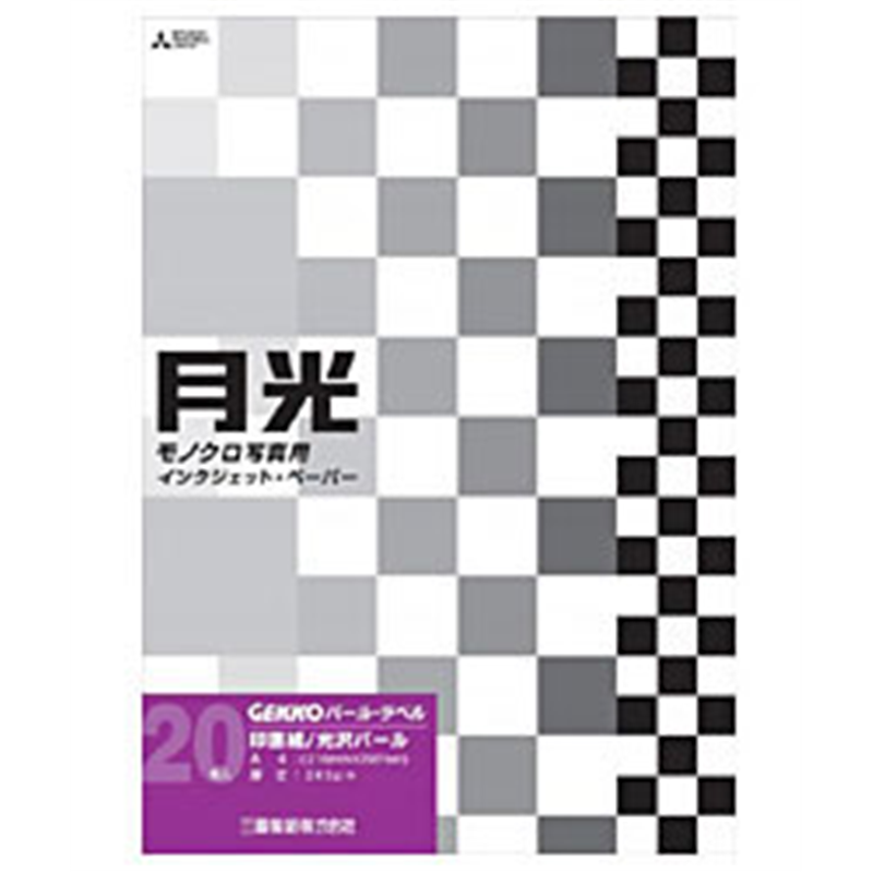ピクトリコ GEKKO パール・ラベル(A3ノビ・20枚) GKN-A3+/20 GKN-A3+/20 GKNA3+20 1個(ご注文単位1個)【直送品】