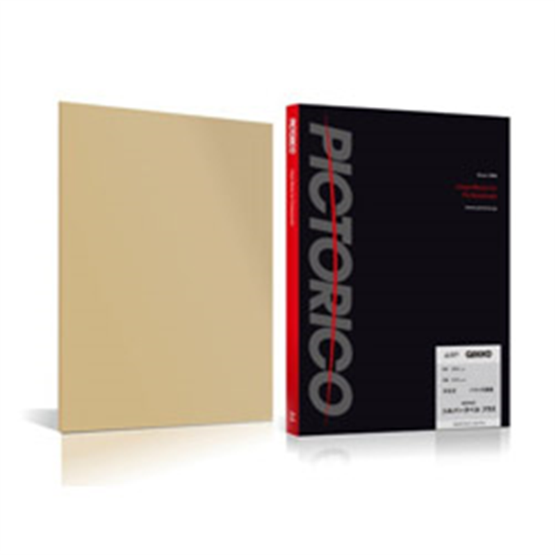 ピクトリコ GEKKOシルバーラベルプラス A2 10枚入 GKSP-A2/10 GKSPA210 1個(ご注文単位1個)【直送品】