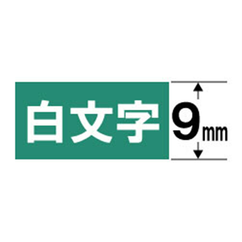 カシオ 白文字テープ NAME LAND（ネームランド） 緑 XR-9AGN ［白文字 /9mm幅］ XR9AGN 1個（ご注文単位1個）【直送品】