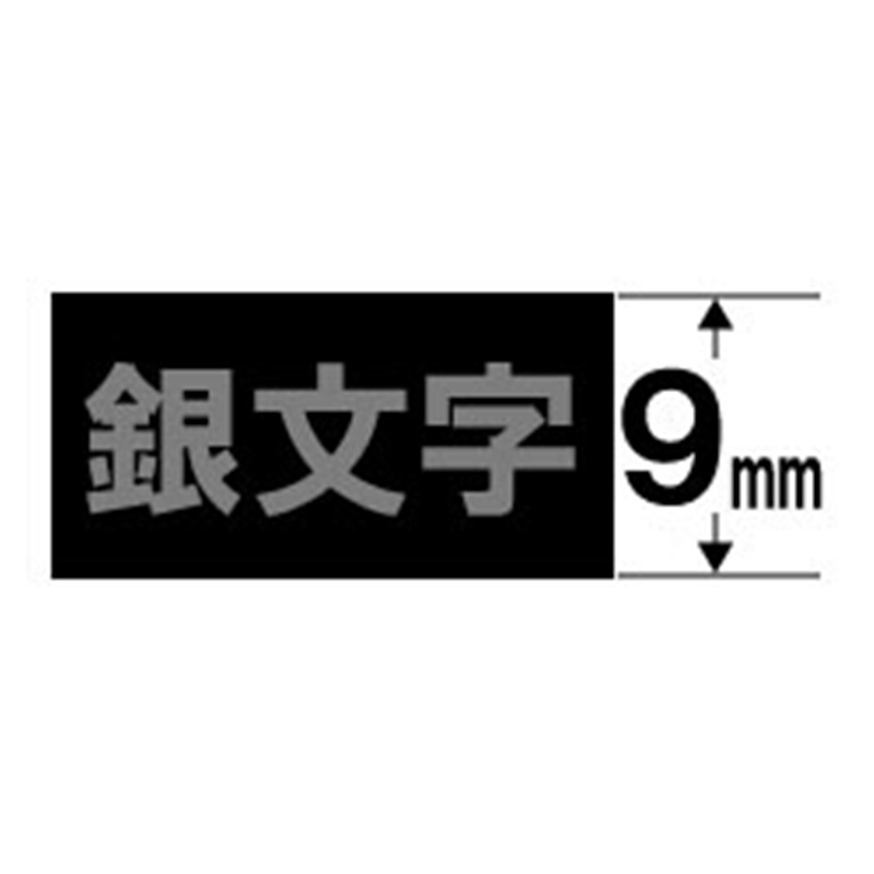 カシオ スタンダードテープ NAME LAND（ネームランド） 黒 XR-9BKS ［銀文字 /9mm幅］ XR9BKS 1個（ご注文単位1個）【直送品】