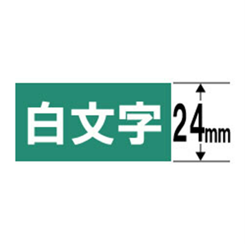 カシオ 白文字テープ NAME LAND（ネームランド） 緑 XR-24AGN ［白文字 /24mm幅］ XR24AGN 1個（ご注文単位1個）【直送品】