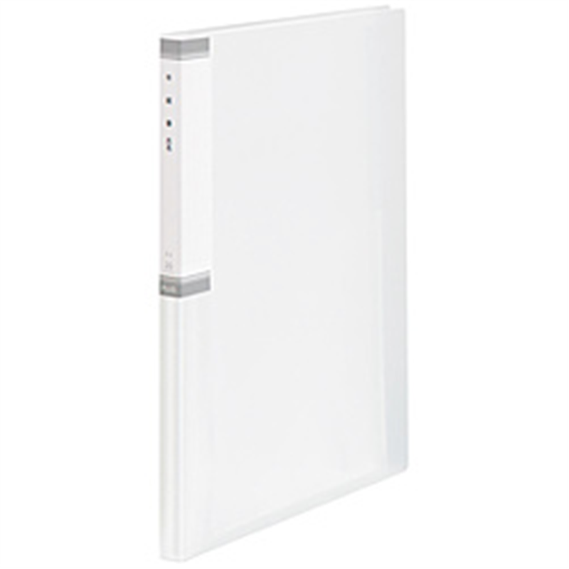 プラス キャリア・パスポート向けファイルシリーズ　年組氏名クリアーファイル  クリアー FL-201SF 84866 1個（ご注文単位1個）【直送品】