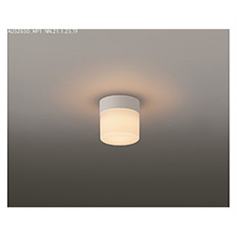 コイズミ　KOIZUMI LED防雨防湿型シーリング  ［電球色 /LED /防雨・防湿型］ BW220001B 1個（ご注文単位1個）【直送品】