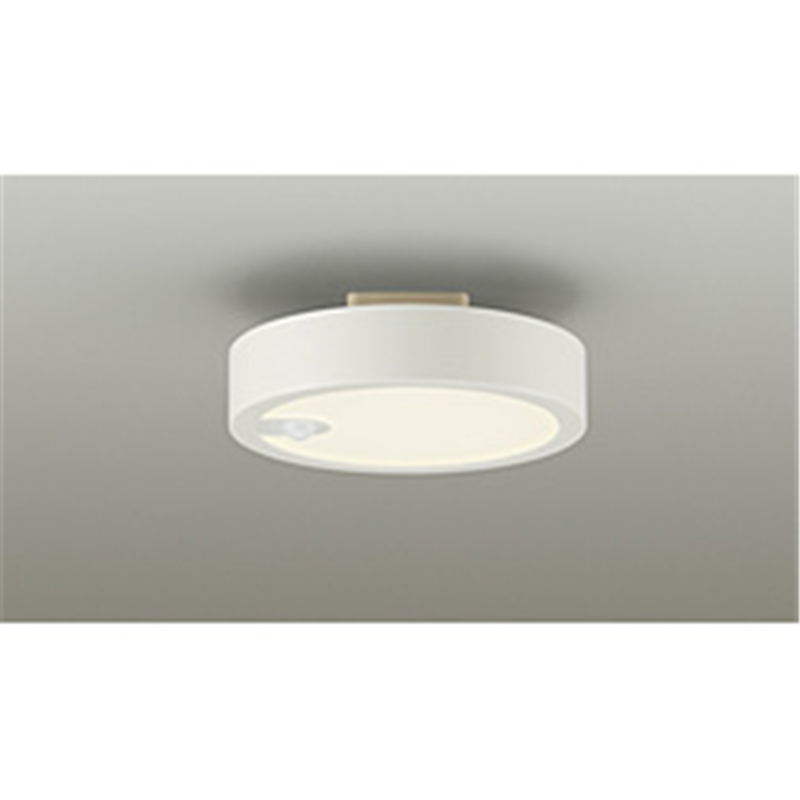 大光電機　DAIKO LED小型シーリングライト  DXL-81483C ［電球色 /LED］ DXL81483C 1個（ご注文単位1個）【直送品】