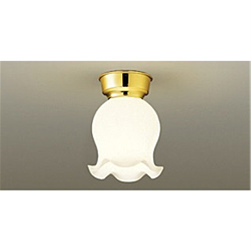 大光電機　DAIKO LED小型シーリングライト DXL-81035 DXL81035 1個（ご注文単位1個）【直送品】