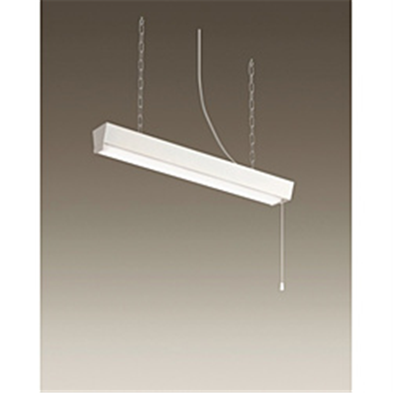 大光電機　DAIKO LED多目的灯 昼光色  DXL-81186 DXL81186 1個（ご注文単位1個）【直送品】