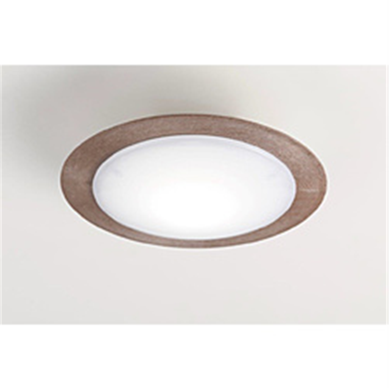 スワン電器　SWAN LEDシーリングライト Slimac CEシリーズ 本体：ホワイト /プラ枠：ブラウン CE-1004BR ［昼白色 /リモコン無］ CE1004BR 1個（ご注文単位1個）【直送品】