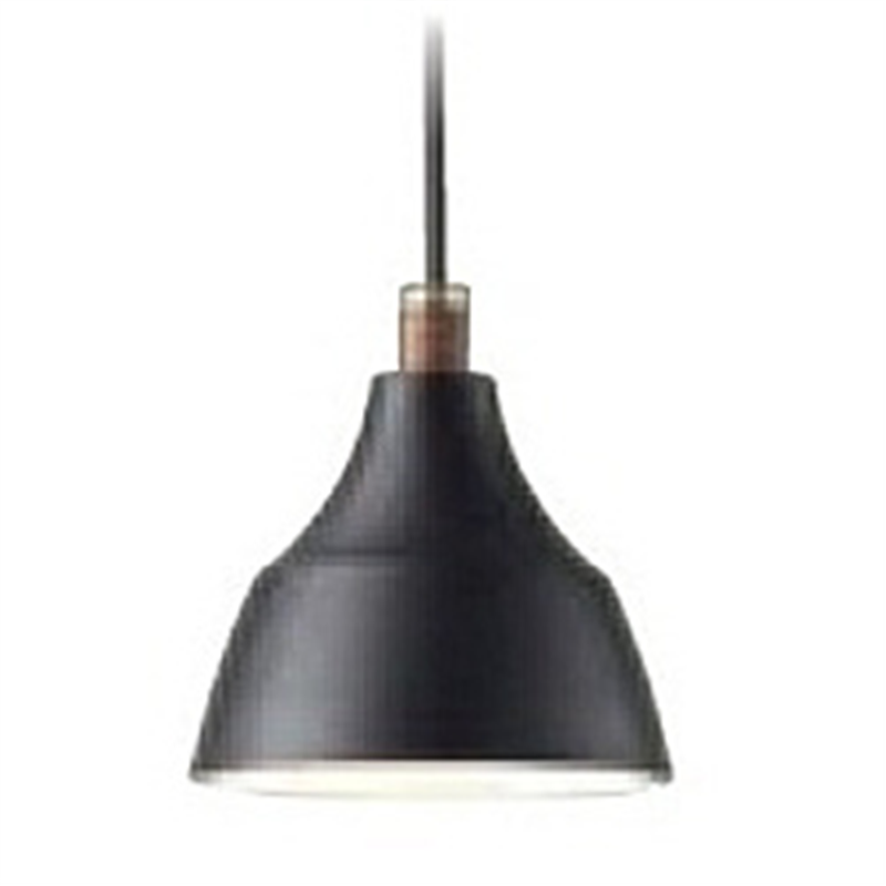 大光電機　DAIKO LEDペンダントライト  DXL-81303 ［電球色 /リモコン無］ DXL81303 1個（ご注文単位1個）【直送品】