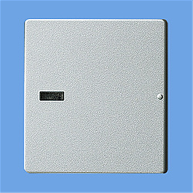 パナソニック 埋込ダブルスイッチ用 表示付ハンドル(ネームなし) WTX3022S WTX3022S 1個(ご注文単位1個)【直送品】