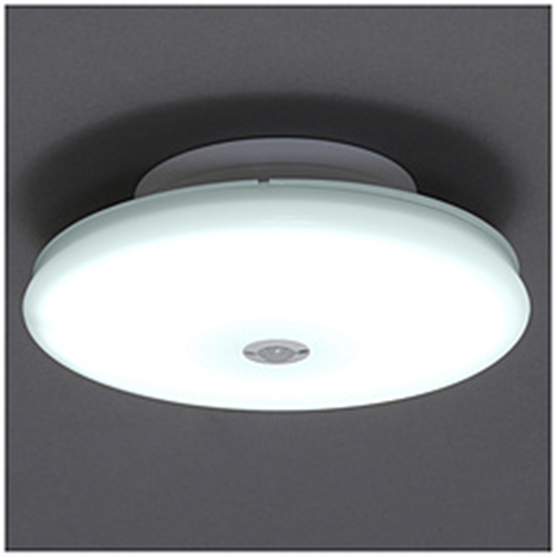 アイリスオーヤマ　IRIS　OHYAMA 小型シーリングライト　超薄型　1200lm　人感　昼光色  ［昼光色 /LED］ SCL12DMSTH 1個（ご注文単位1個）【直送品】