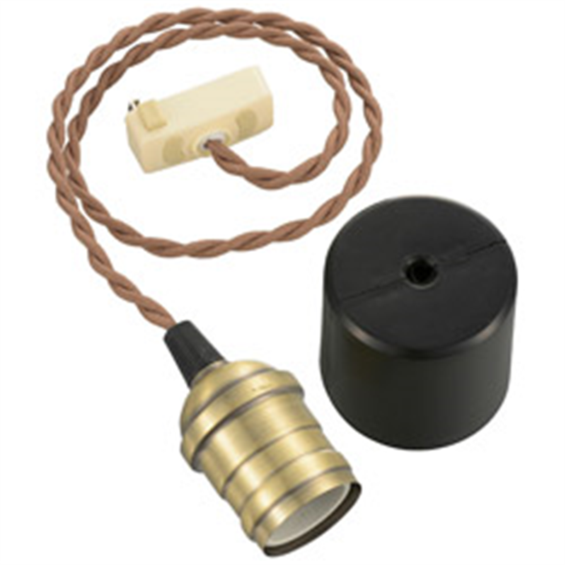 オーム電機　OHM　ELECTRIC ペンダントソケットライト 真鍮 HS-LPS04 ［リモコン無］ HSLPS04 1個（ご注文単位1個）【直送品】