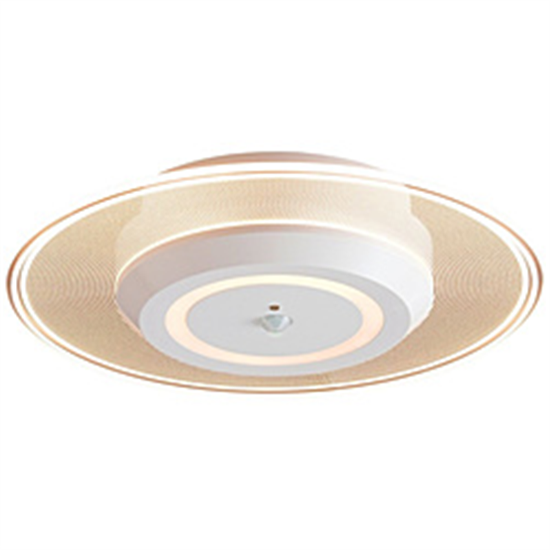 アイリスオーヤマ　IRIS　OHYAMA 小型シーリングライト 導光板 750lm 人感付 電球色  SCL-75LMS-LGP ［電球色 /LED］ SCL75LMSLGP 1個（ご注文単位1個）【直送品】