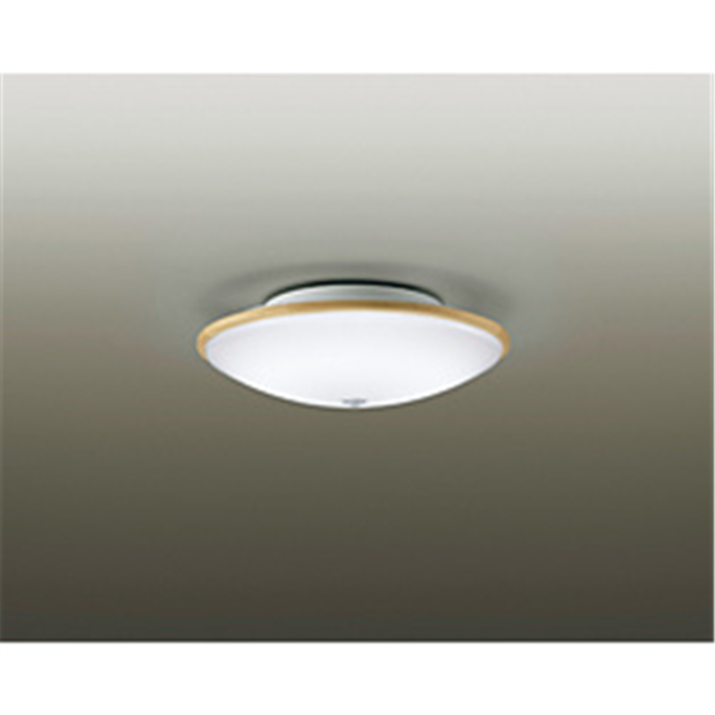 大光電機　DAIKO LED小型ｼｰﾘﾝｸﾞ  DXL-81453 ［昼光色 /LED］ DXL81453 1個（ご注文単位1個）【直送品】