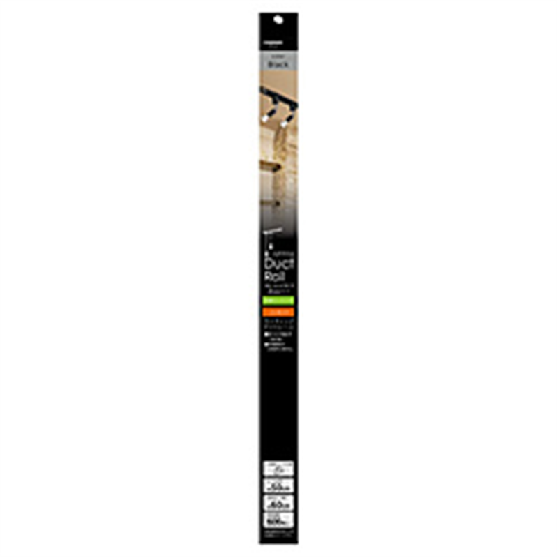 ヤザワ YAZAWA ライティングダクトレール 500mm　黒　LR502BK LR502BK 1個（ご注文単位1個）【直送品】