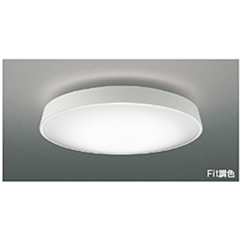 コイズミ KOIZUMI LEDシーリング AH48979L 1個(ご注文単位1個)【直送品】