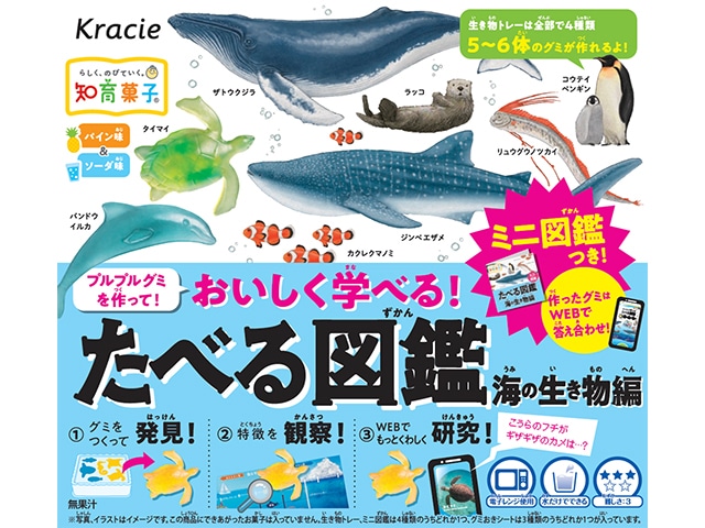 クラシエフーズたべる図鑑海の生き物編13g※軽(ご注文単位5個)【直送品】
