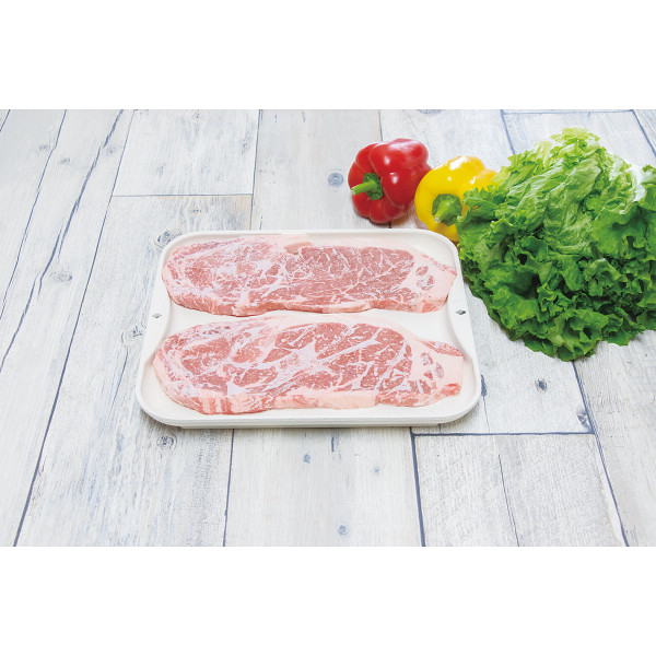 シャディ 解凍皿ＮＥＷクイッ君 1個(ご注文単位1個)  【直送品】