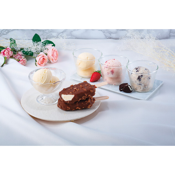 シャディ ハーゲンダッツ　スペシャルセット 1個(ご注文単位1個) ※軽 【直送品】