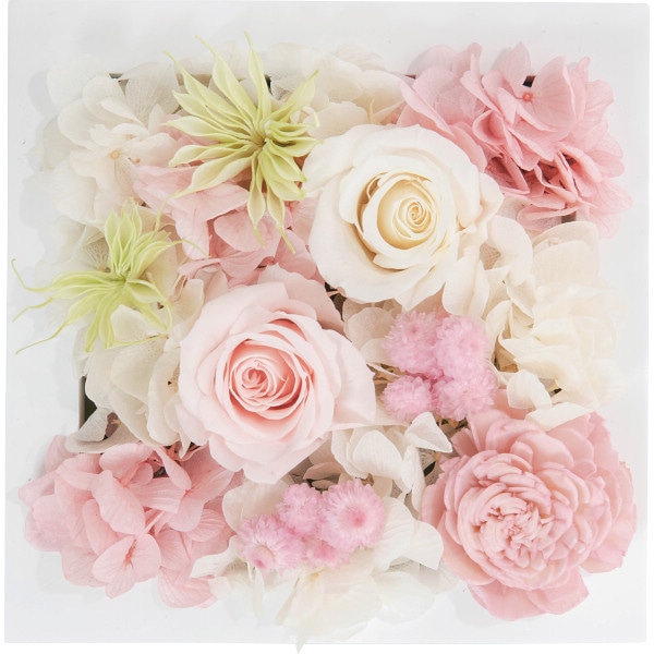 シャディ プリザーブドウォールフラワー（スクエア） 1個(ご注文単位1個)  【直送品】