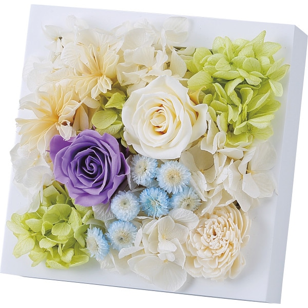 シャディ プリザーブドウォールフラワー（スクエア） 1個(ご注文単位1個)  【直送品】