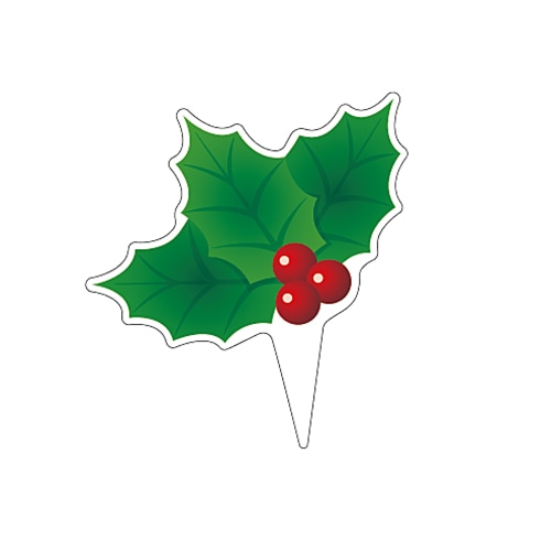 ARC ピック ヒイラギピック LX571S 1束(ご注文単位1束)【直送品】