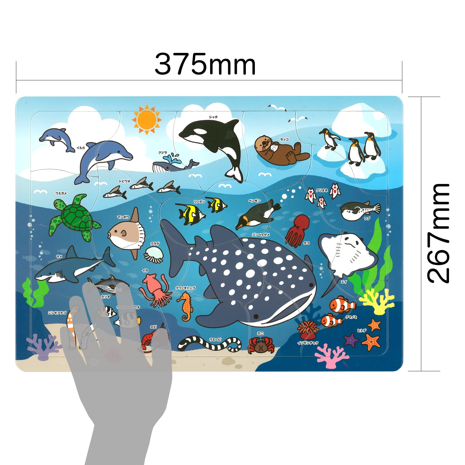 ㈱アーテック海のいきものパズル 1個（ご注文単位1個）【直送品】