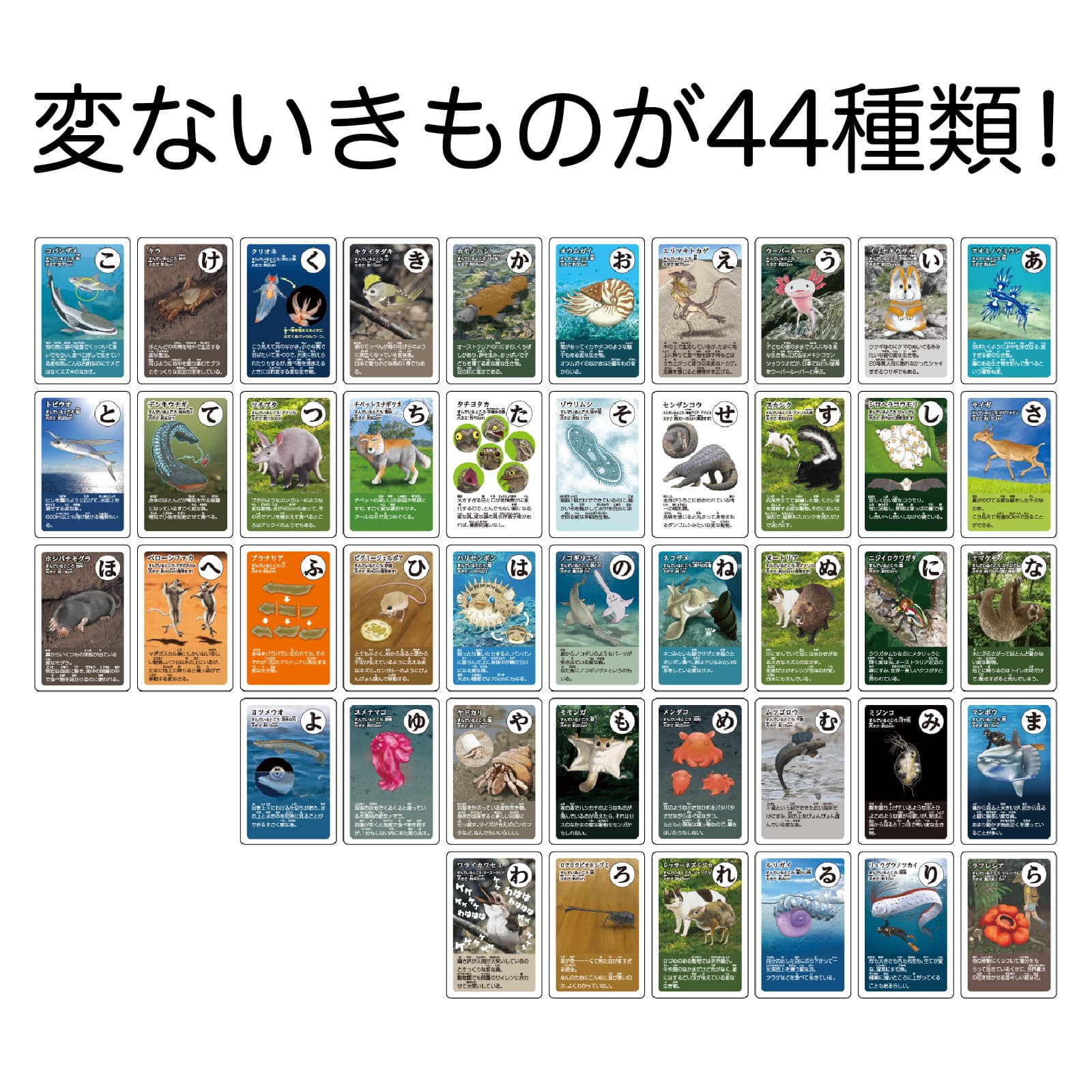 ㈱アーテック変ないきものかるた 1個(ご注文単位1個)【直送品】