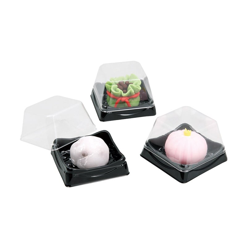 ㈱アーテック透明作品ケース（10個組） 1セット（ご注文単位1セット）【直送品】