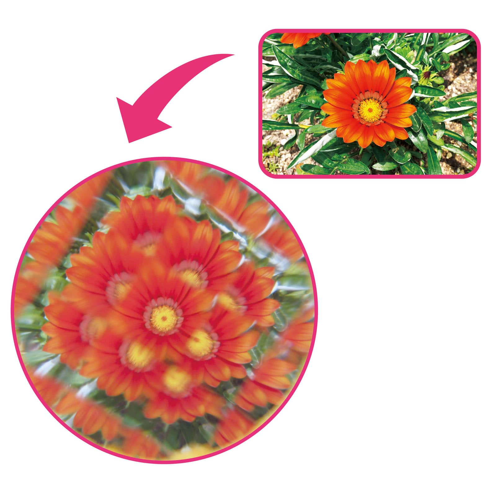 ㈱アーテック カメラ型万華鏡1個（ご注文単位1個）【直送品】