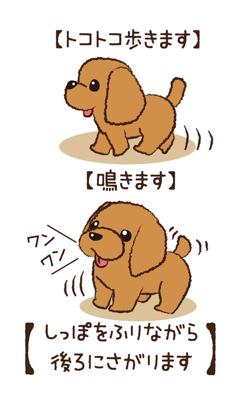 ㈱アーテック トコトコあるくよ なかよしプードル1個（ご注文単位1個）【直送品】