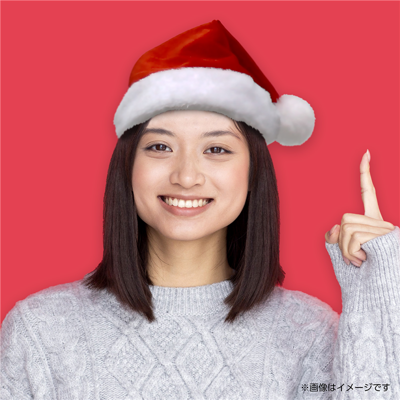 アーテック クリスマス サンタ帽子 大人用10枚組 1個（ご注文単位1個）【直送品】