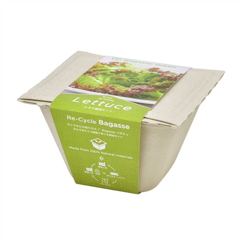 アーテック バガスグリーン レタス 1個(ご注文単位1個)【直送品】