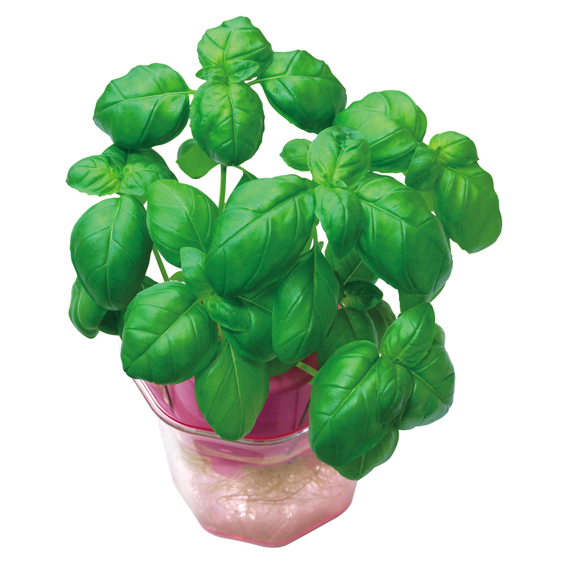 アーテック バジル 0.5mL 小袋 1個（ご注文単位1個）【直送品】