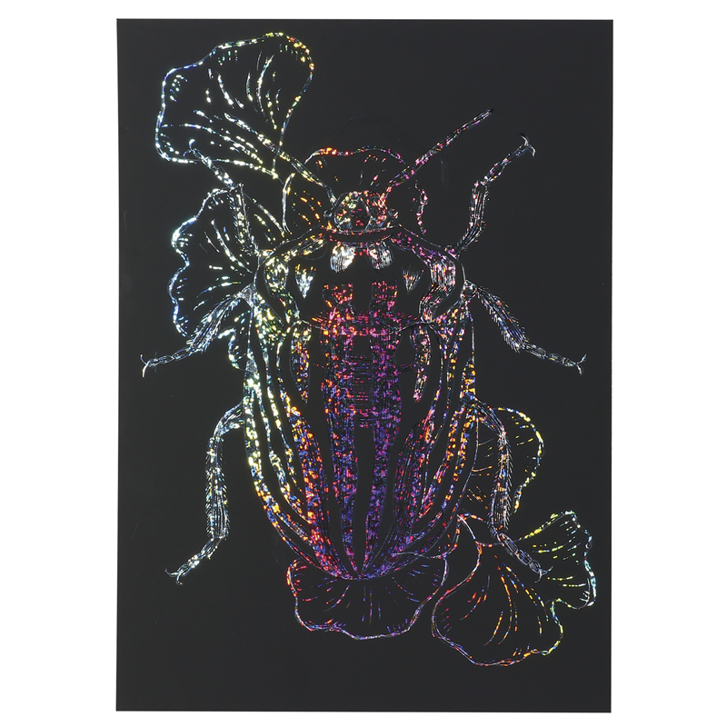 アーテック ホログラムスクラッチボード 150×200mm メタリックフレームセット 1個(ご注文単位1個)【直送品】