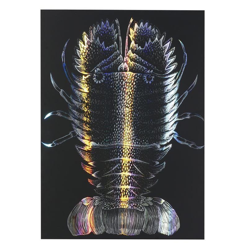 アーテック ホログラムスクラッチボードⅡ150×200mmメタリックフレームセット 1個（ご注文単位1個）【直送品】