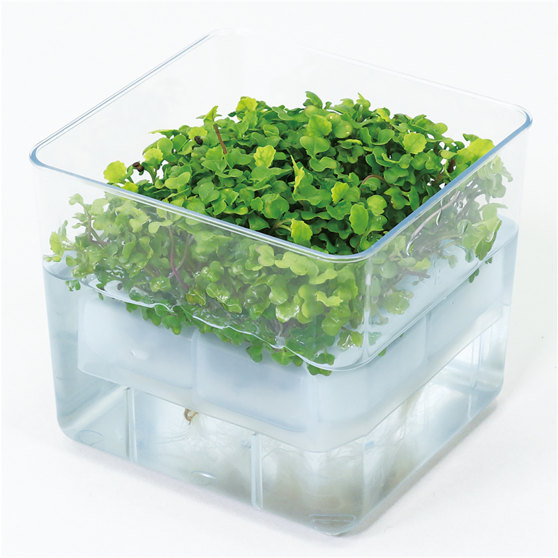 アーテック 水耕栽培ユニット バジル（ご注文単位1セット）【直送品】