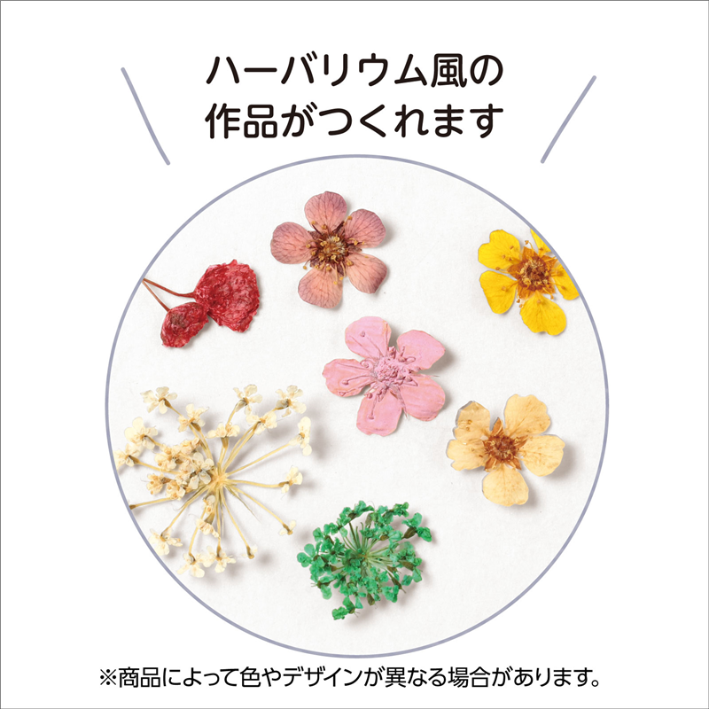 アーテック ドライフラワー 12種 1個(ご注文単位1個)【直送品】