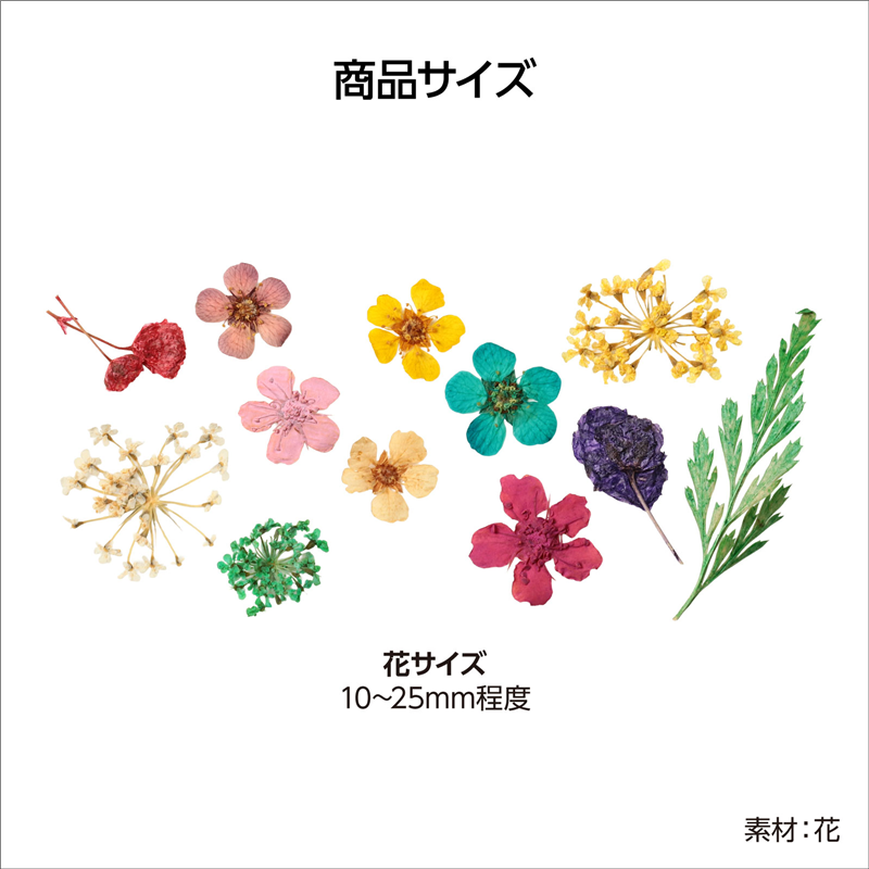 アーテック ドライフラワー 12種 1個(ご注文単位1個)【直送品】